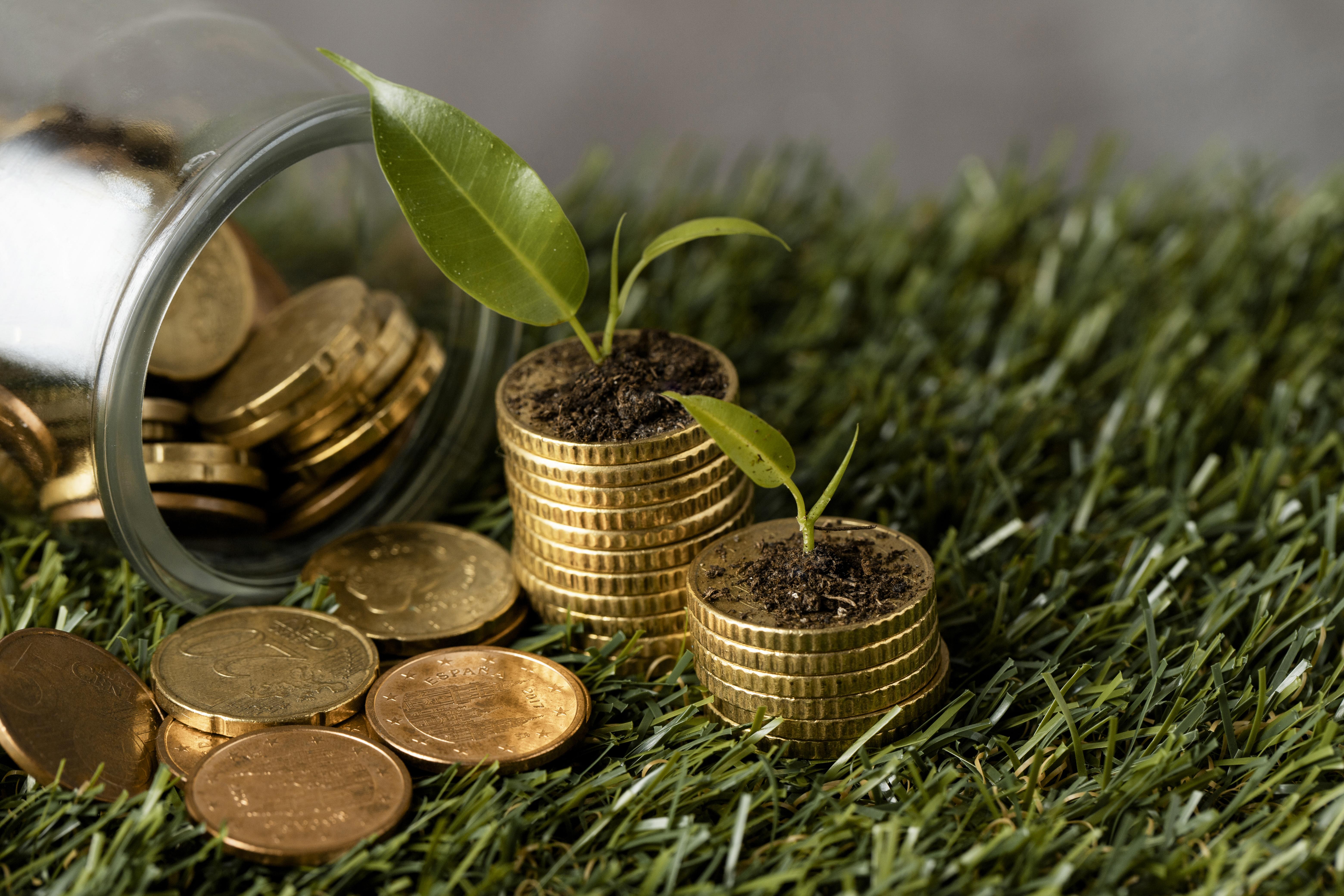 Economia Verde